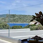 Vi *