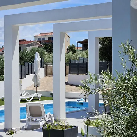 Vi فيلة سيفيد