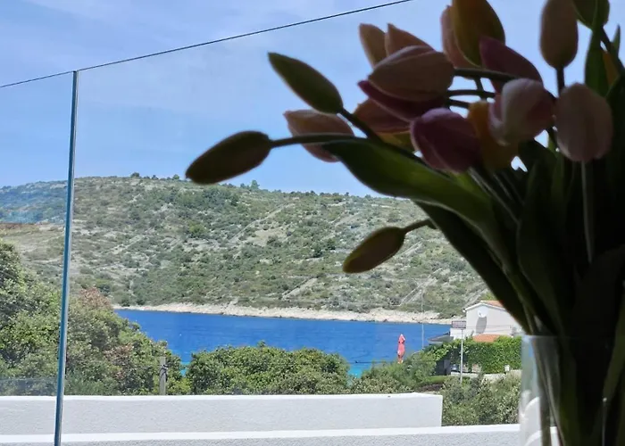Vi Villa